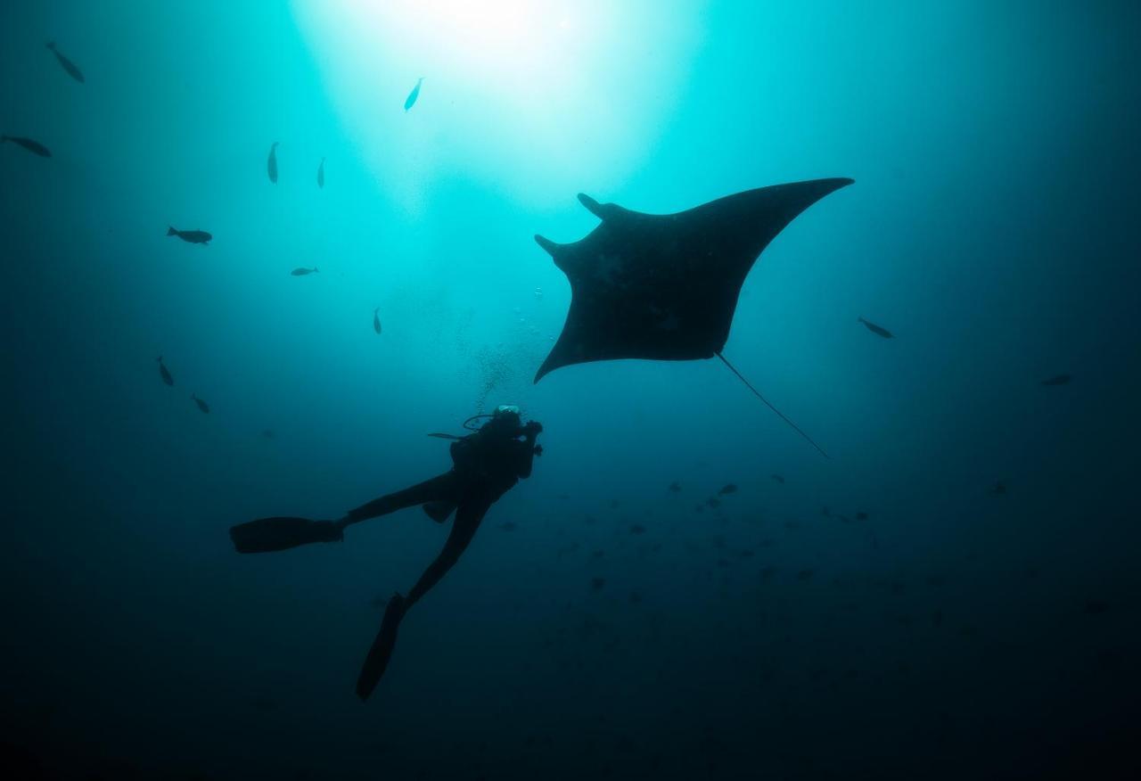 Tilar Siro Andamans - A Cgh Earth Experience Ξενοδοχείο Govind Nagar Εξωτερικό φωτογραφία